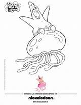 Sea Sponge Coloring Page At GetColoringscom  Free Printable Colorings sketch template