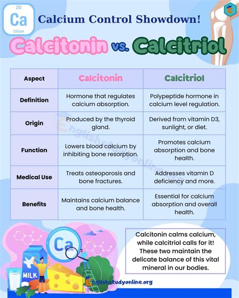 Calcitonin vs. Calcitriol: Understanding the Key Differences - English Study Online