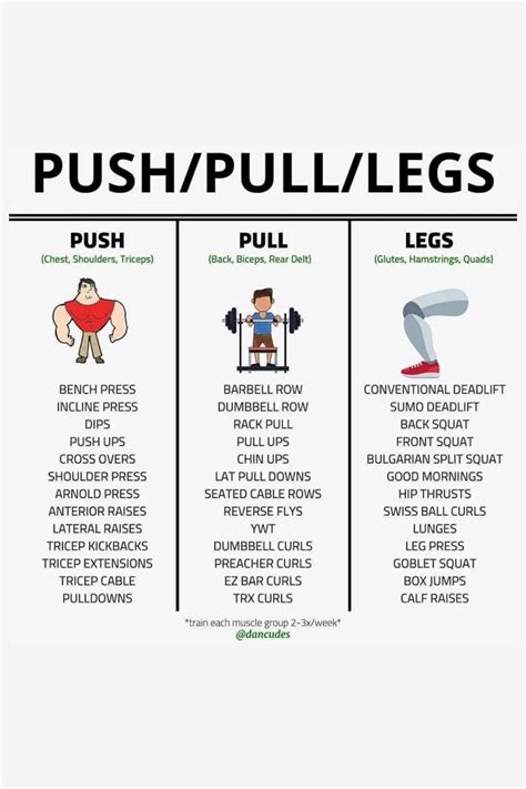 PUSH/PULL/LEGS EXERCISES LIST | Workout program gym, Push day workout, Push pull workout routine