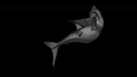 Discovery Channel + THE HOME DEPOT | Shark Week :: Behance