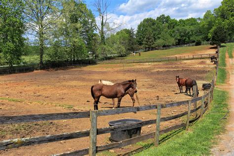 Northwind Stables - 🐎 Virginia Horse Farms for Sale