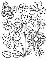 coloring Pages flowers Easy 14 Original Pretty flower To  sketch template