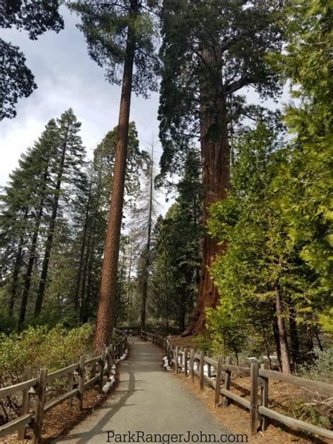 General Grant Tree -Kings Canyon National Park {Video} | Park Ranger John