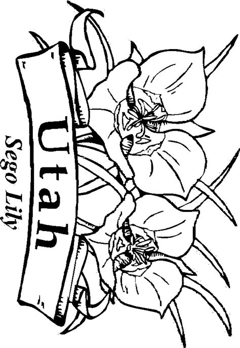 Utah State Flower Coloring Page Coloring Pages