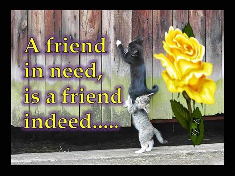 A friend in need is a friend indeed - YouTube