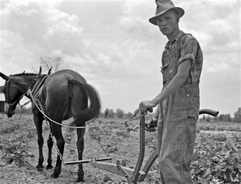 History in Photos: Dorothea Lange - Sharecroppers