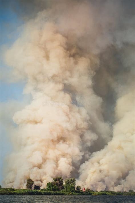 Large Clouds of Smoke, Fire in Nature Stock Image - Image of ...