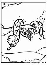 Python Colouring In Coloring Pages Rainforest sketch template