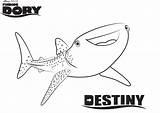 Finding Nemo Bruce Coloring Pages sketch template
