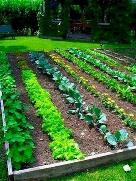 50 Most Productive Small Vegetable Garden Ideas for Small Space | Garden layout vegetable ...