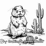 Prairie Dog Coloring Pages  Free & Printable sketch template