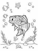 Fishing For Bass Fish Coloring Page  Free Printable Pages sketch template