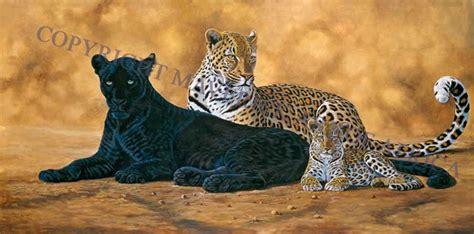 Pin on wildlife art