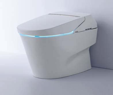 A Self-Cleaning Toilet Sounds Like a Dream: Do They Really Work?