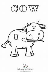 Cow Coloring Pages FREE 2025  And Learn sketch template