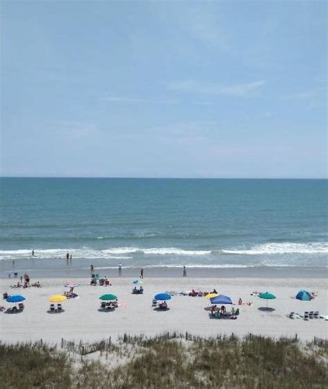 Top Pet Friendly Hotels in Myrtle Beach Ultimate Guide