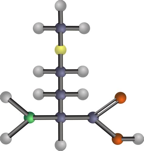 Clipart - Methionine (amino acid)