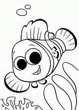 Printable Nemo Coloring Pages sketch template