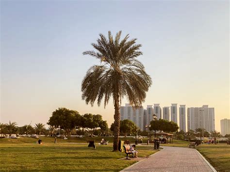 Exploring Ajman - Al Rashidyeah Park