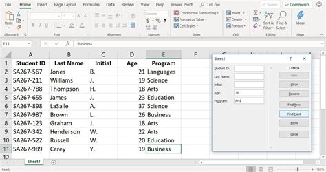 Excel Data Entry Form