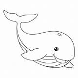 Laughing Whale coloring Page  Download Print Or Color Online For Free sketch template