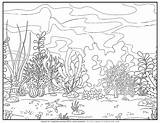 Dive Into Creativity The Best Coloring Pages For Underwater Adventures sketch template