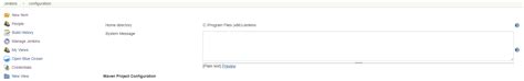 How to find Advanced options in Jenkins Configuration - Stack Overflow