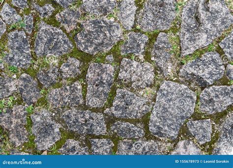 Moss and Stone Texture for Background Stock Image - Image of gray ...