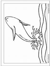 25 Free Whale Coloring Pages For Kids And Adults sketch template