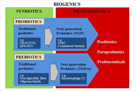Current Topics in Lactic Acid Bacteria and Probiotics