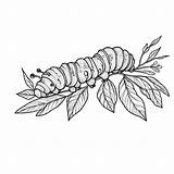 Inchworm Coloring Pages Kids sketch template