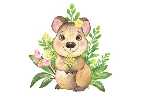 Australian animals clipart. Koala clipart. Watercolor baby animal By Evgeniia Grebneva Painting ...