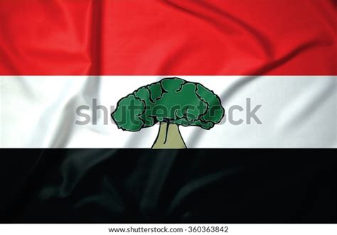 Flag Oromia Ethnicallybased Regional States Selfgoverning Stock Illustration 360363842 ...