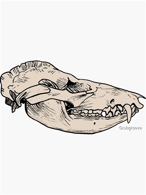 "Opossum Skull Drawing" Sticker for Sale by Grubgroove | Redbubble