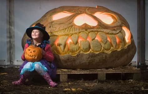 Time lapse video: Watch amazing carving of the world's largest pumpkin ...