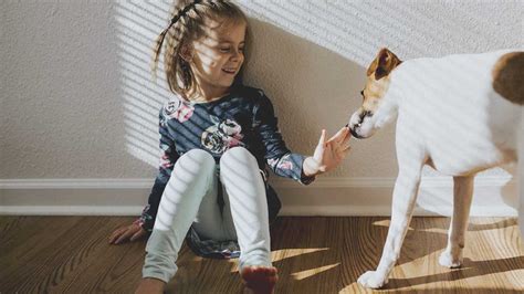 8 Best Pets for Kids: What Type of Pet is Best for You?