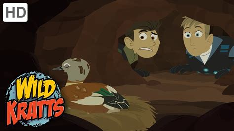 Wild Kratts | Aardvark Town | Full Episode | Season 1 - YouTube