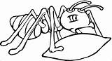 Ant Coloring Pages  ColoringBay sketch template
