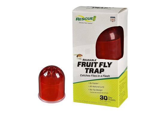 RESCUE Indoor Non-Toxic Reusable Fruit Fly Trap - Walmart.com