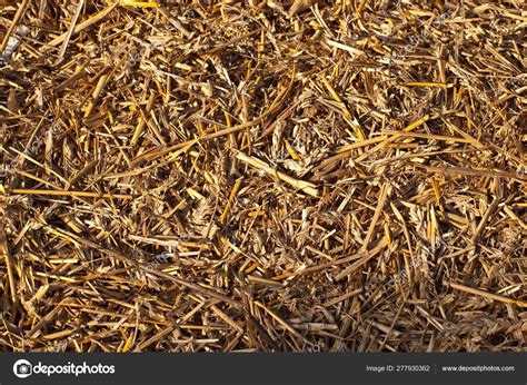 Texture Yellow Hay Dry Grass Collected Drainage Hay — Stock Photo ...