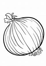 Coloring Pages  Onion Page sketch template