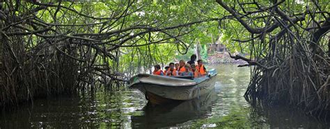 bentota-river-safari - Yallabook