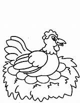 Drawing Chicken Egg Being Hatched Coloring Pages  NetArt sketch template