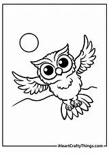 25 Wise Owl Coloring Pages sketch template