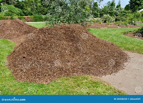 Pile Of Mulch Stock Photo - Image: 20438250