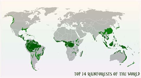 The Tropical Rainforest World Map - Map of Africa Sudan