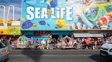 SEA LIFE Blackpool Tours - Book Now | Expedia