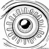 Realistic Eyeball Anatomy Coloring Page  Pagescom sketch template