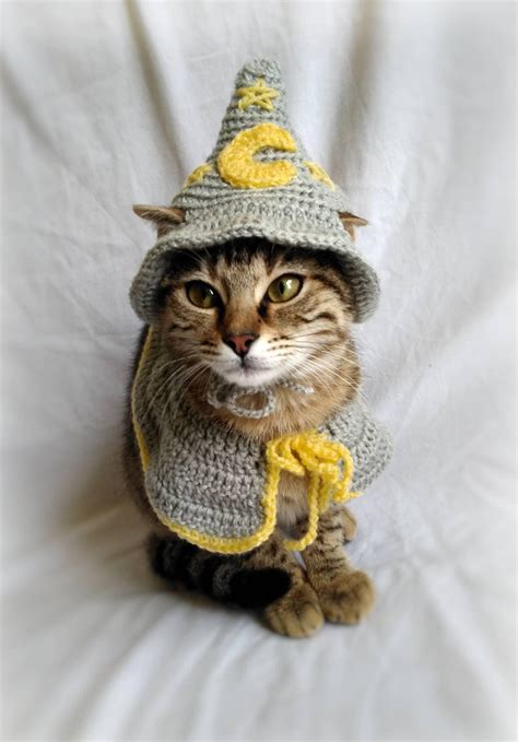 Wizard Costume for Cat Wizard Hat for Cat Wizard Pet Costume - Etsy Ireland