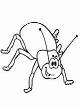 Insect Coloring Pages  Best For Kids sketch template